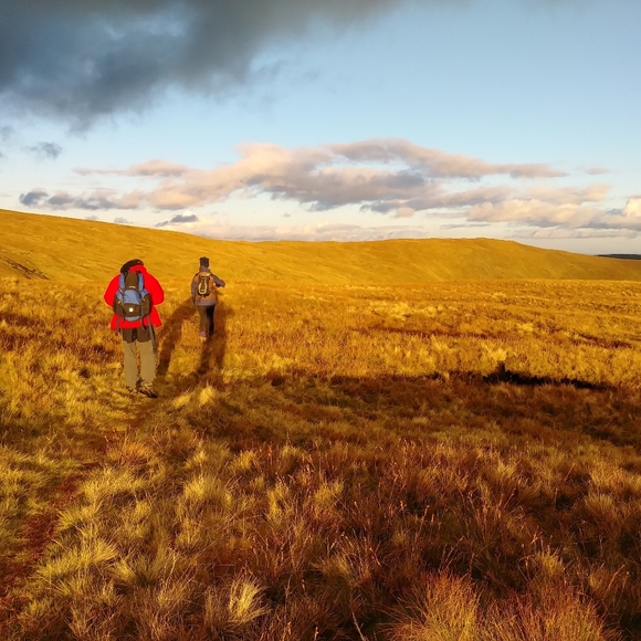 Meet your Posher, Isabel - Picture 1 of 1